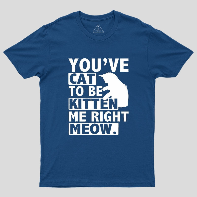 You've Cat To Be Kitten Me Right Meow Geek T-Shirt