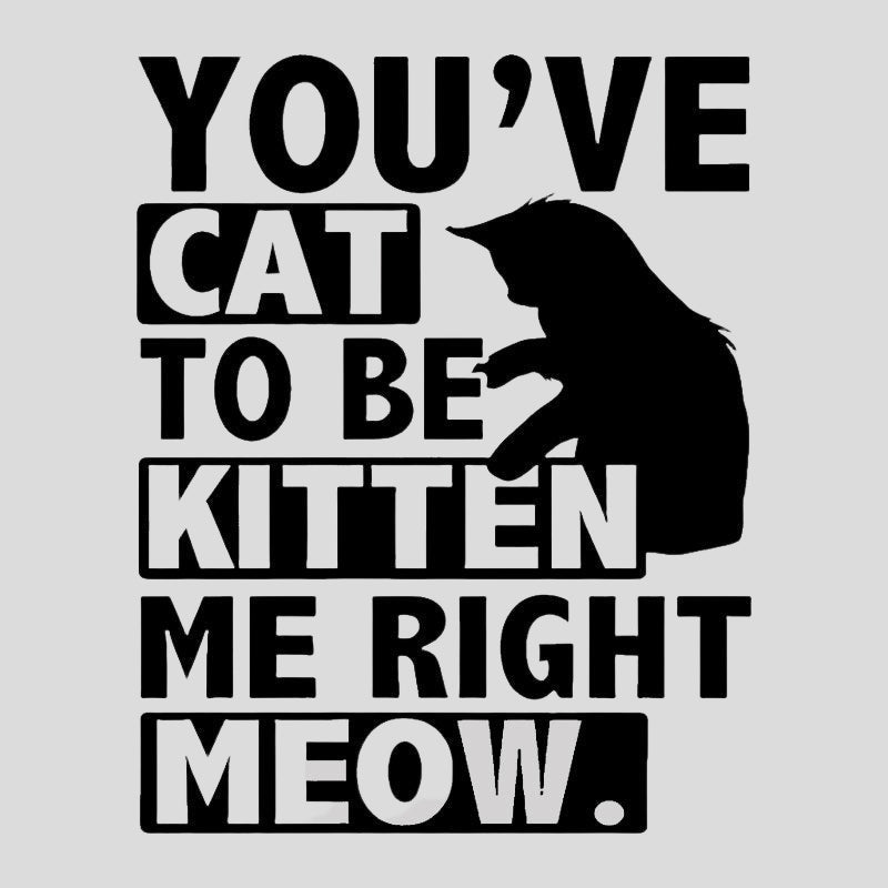 You've Cat To Be Kitten Me Right Meow Geek T-Shirt