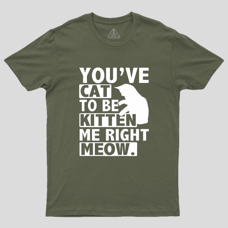You've Cat To Be Kitten Me Right Meow Geek T-Shirt