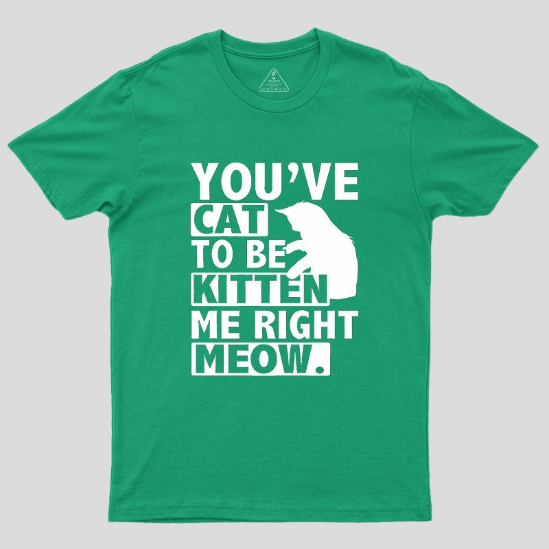You've Cat To Be Kitten Me Right Meow Geek T-Shirt