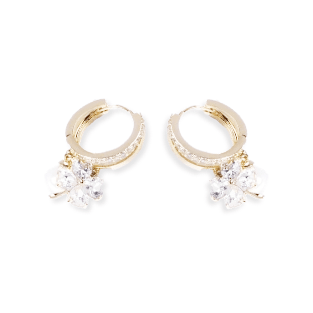 TAILEDEN™ Lymphvity MagneTherapy Germanium Earrings(Limited time discount 🔥 last day)