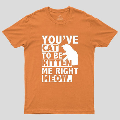 You've Cat To Be Kitten Me Right Meow Geek T-Shirt