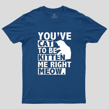 You've Cat To Be Kitten Me Right Meow Geek T-Shirt