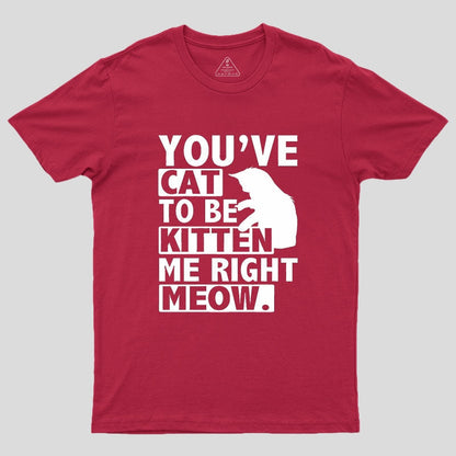 You've Cat To Be Kitten Me Right Meow Geek T-Shirt