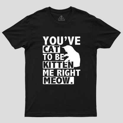 You've Cat To Be Kitten Me Right Meow Geek T-Shirt