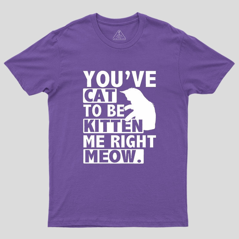 You've Cat To Be Kitten Me Right Meow Geek T-Shirt