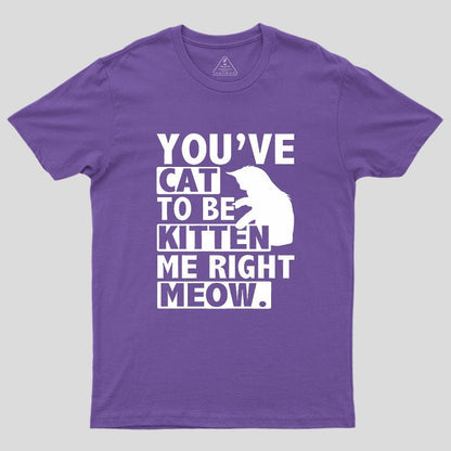 You've Cat To Be Kitten Me Right Meow Geek T-Shirt