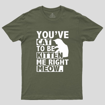 You've Cat To Be Kitten Me Right Meow Geek T-Shirt