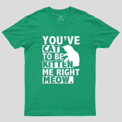 You've Cat To Be Kitten Me Right Meow Geek T-Shirt